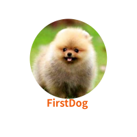 FirstDog