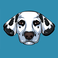 Dalmatian Inu
