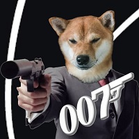 Shiba007