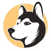 Husky Inu
