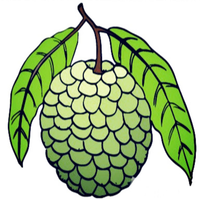 Anonion Protocol
