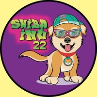 Shiba Inu 22
