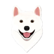 JeJuDoge BSC