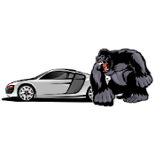 AudiKong