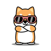 BigBroDoge