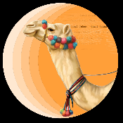 CamelToken