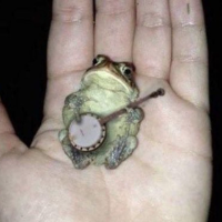 Banjo