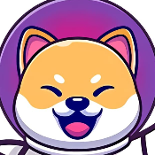 Super Space Shiba