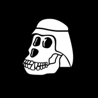 Arab Ape Yacht Coin