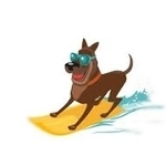 Sea Doge