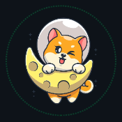 FlokiMoon