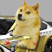 Dogerace