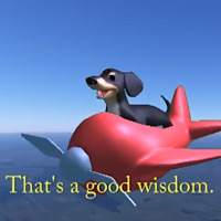 Dog of wizdom