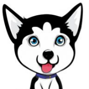 Little Husky