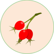 Rosehip Finance
