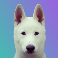 Polar Inu