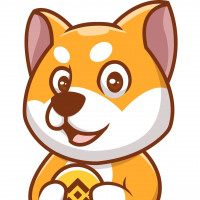 ShibaCute