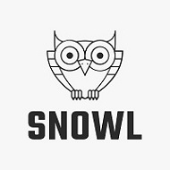Snowy Owl Coin