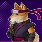 Strider Shiba