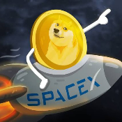 Spacexdoge
