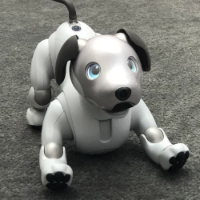 AIBO