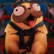 Doug The Pug