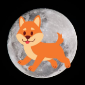 BabyMoonAkita