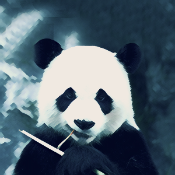 iPanda