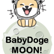 BabyDogeMoon