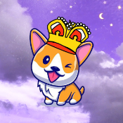 MiniDogQueen