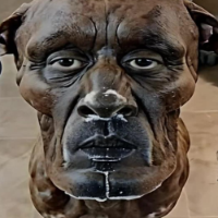 SIGMA DOG