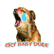 CryBabyDoge