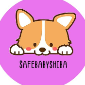 Safe Baby Shiba