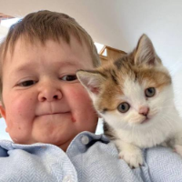 BARSIK (Hasbulla’s Cat)