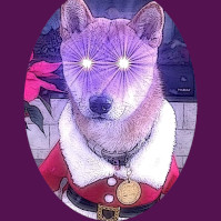Meta Santa Floki