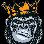 KingApeCoin
