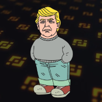 JUST A DJT GUY