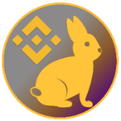 SMART BUNNY