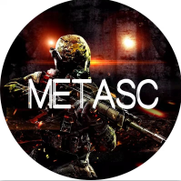 MetaS Coin