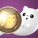Fair Launch Protocol
