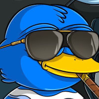 BASED QUACK COIN