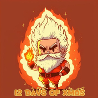 12 DAYS OF XMAS