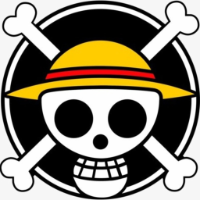 One Piece Token