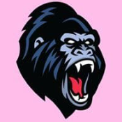KONG CITY