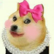 QueenDoge