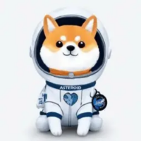 Asteroid Shiba