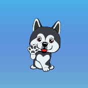 BabyHusky