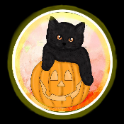 Little Cat Pumpkin