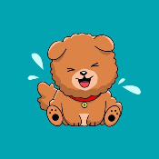 Crazy Chow