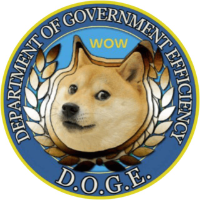 ELONDOGE COIN